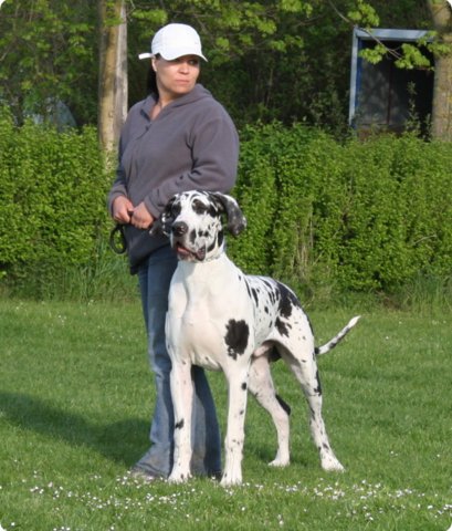 aichach_453.jpg