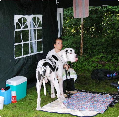 dsc_0165.jpg
