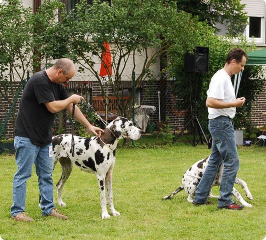 dsc_0309.jpg