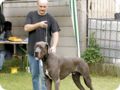 dsc_0367.jpg