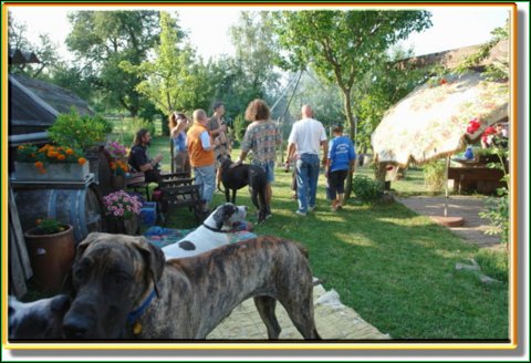 doggentreffen_08.07.06_001.jpg