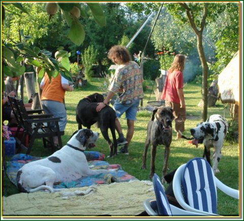 doggentreffen_08.07.06_002.jpg