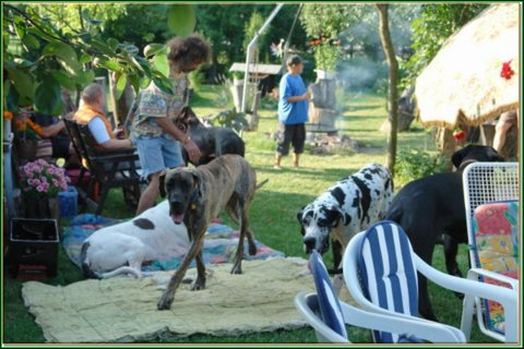 doggentreffen_08.07.06_003.jpg