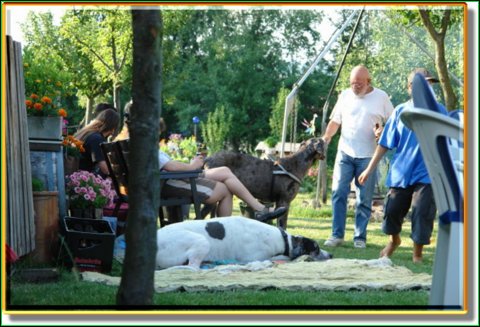 doggentreffen_08.07.06_010.jpg