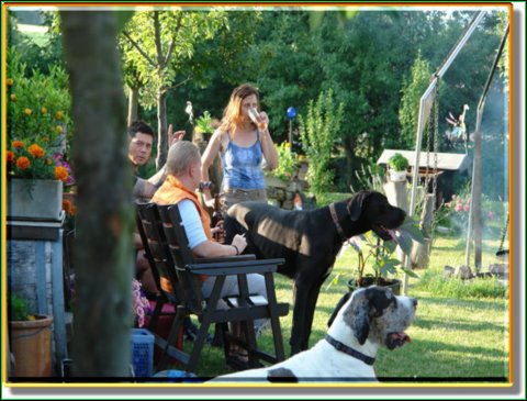 doggentreffen_08.07.06_015.jpg
