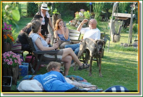 doggentreffen_08.07.06_022.jpg