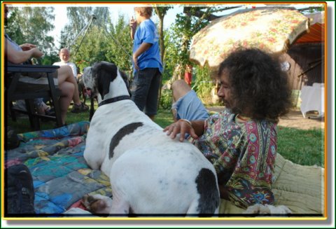doggentreffen_08.07.06_028.jpg