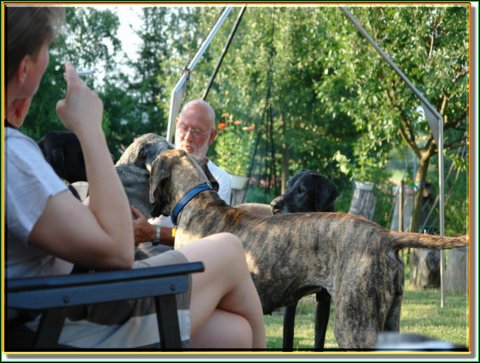 doggentreffen_08.07.06_035.jpg
