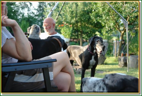 doggentreffen_08.07.06_036.jpg
