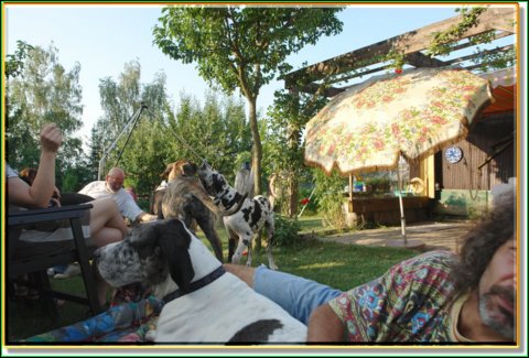 doggentreffen_08.07.06_043.jpg