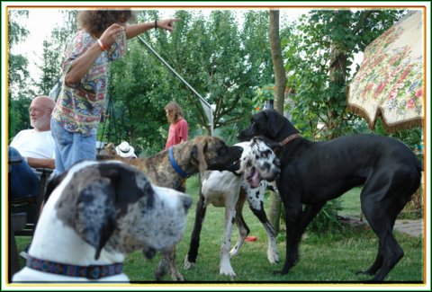 doggentreffen_08.07.06_071.jpg