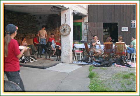 20060610037.jpg