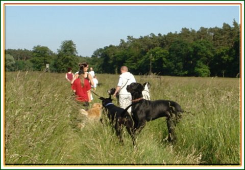 doggentreffen_juni_2006_011.jpg