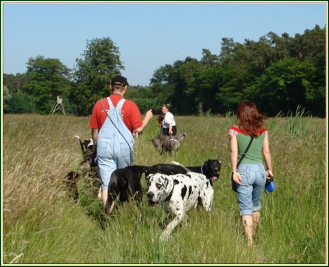 doggentreffen_juni_2006_014.jpg