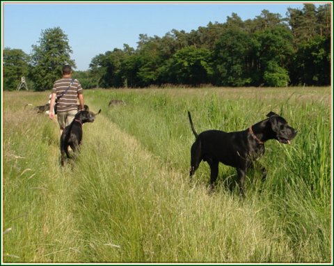 doggentreffen_juni_2006_016.jpg