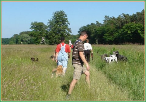 doggentreffen_juni_2006_017.jpg