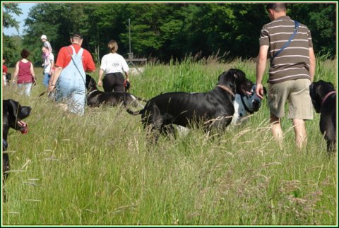 doggentreffen_juni_2006_018.jpg