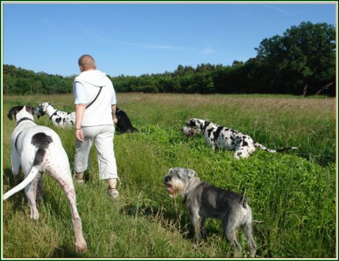 doggentreffen_juni_2006_031.jpg