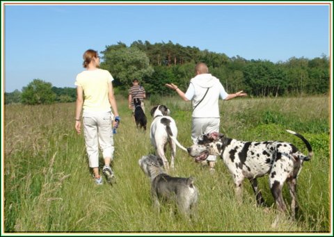 doggentreffen_juni_2006_033.jpg