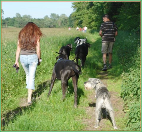 doggentreffen_juni_2006_041.jpg