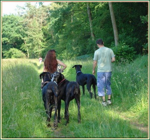 doggentreffen_juni_2006_044.jpg