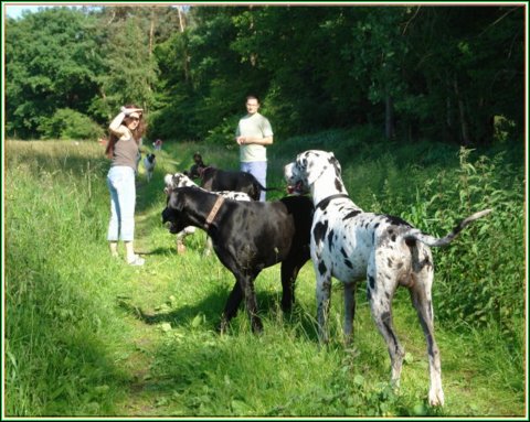 doggentreffen_juni_2006_047.jpg