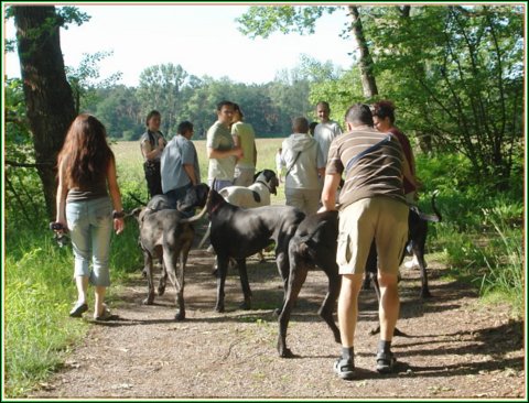 doggentreffen_juni_2006_053.jpg