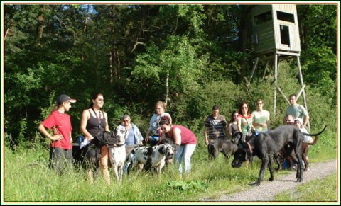 doggentreffen_juni_2006_061.jpg