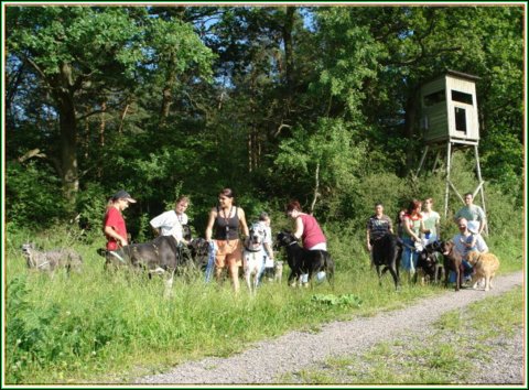 doggentreffen_juni_2006_067.jpg