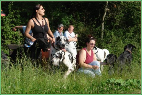 doggentreffen_juni_2006_069.jpg