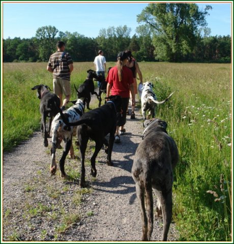 doggentreffen_juni_2006_070.jpg