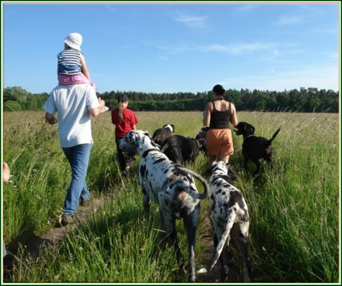 doggentreffen_juni_2006_096.jpg