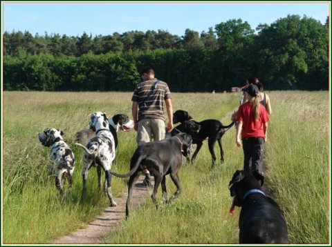 doggentreffen_juni_2006_101.jpg