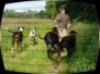 doggentreffen_juni_2006_040.jpg