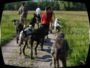 doggentreffen_juni_2006_070.jpg