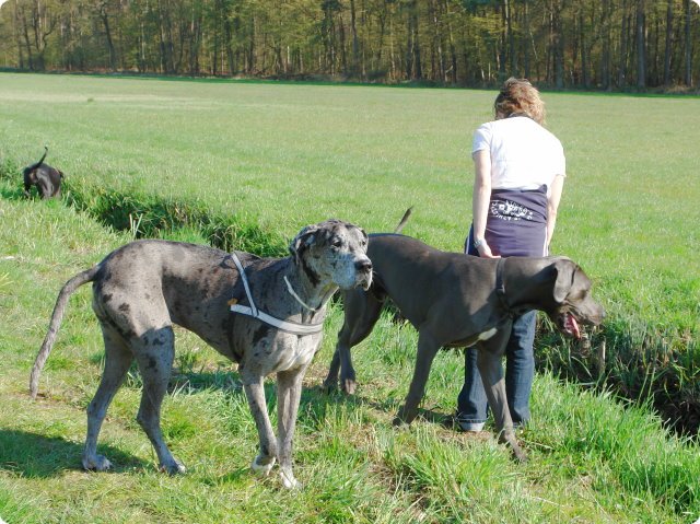 ostersonntag_-doggentreffen_002.jpg
