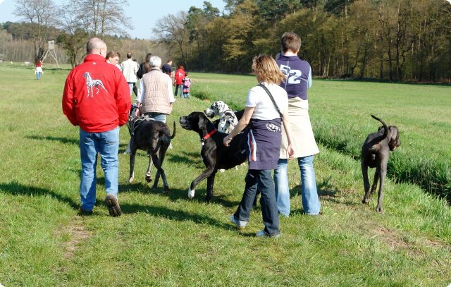 ostersonntag_-doggentreffen_004.jpg