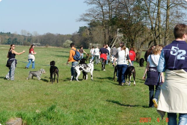 ostersonntag_-doggentreffen_006.jpg