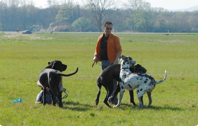 ostersonntag_-doggentreffen_007.jpg