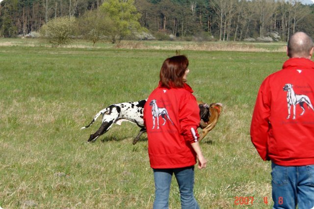 ostersonntag_-doggentreffen_012.jpg