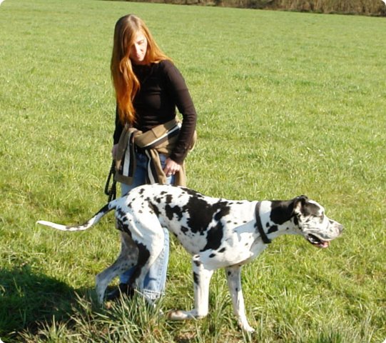 ostersonntag_-doggentreffen_014.jpg