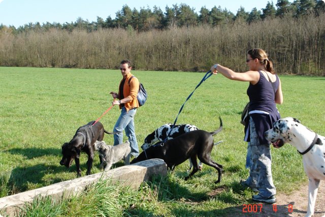 ostersonntag_-doggentreffen_015.jpg