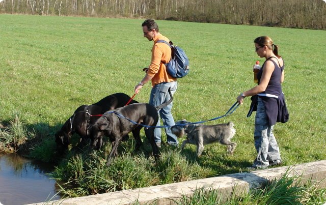 ostersonntag_-doggentreffen_016.jpg