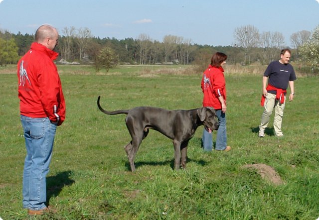 ostersonntag_-doggentreffen_017.jpg