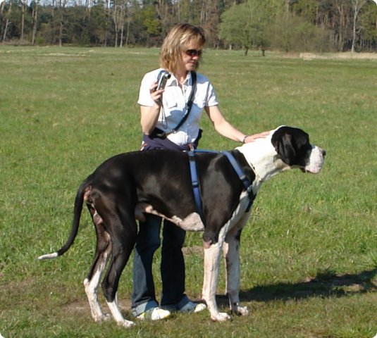 ostersonntag_-doggentreffen_018.jpg