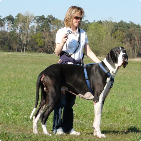 ostersonntag_-doggentreffen_019.jpg