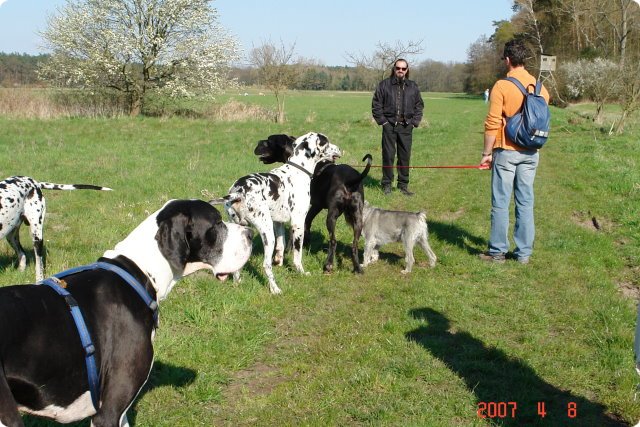 ostersonntag_-doggentreffen_023.jpg