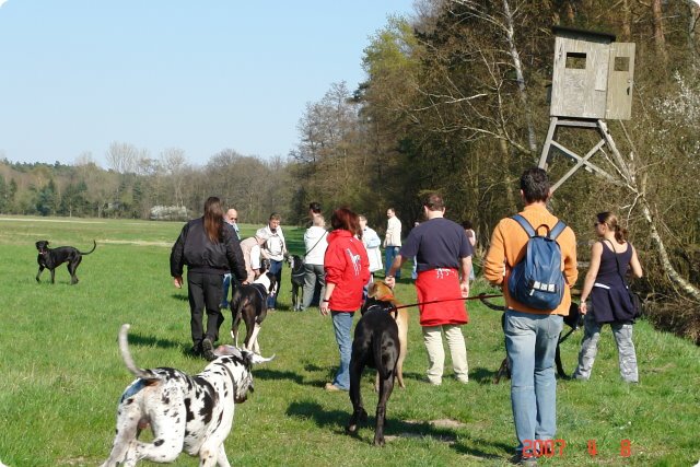 ostersonntag_-doggentreffen_024.jpg