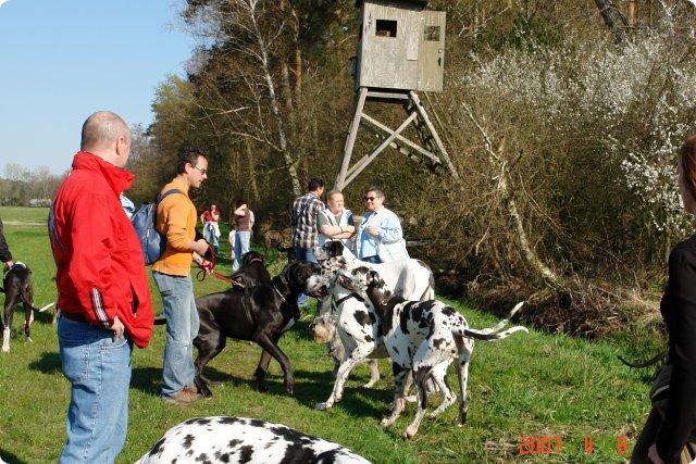 ostersonntag_-doggentreffen_027.jpg