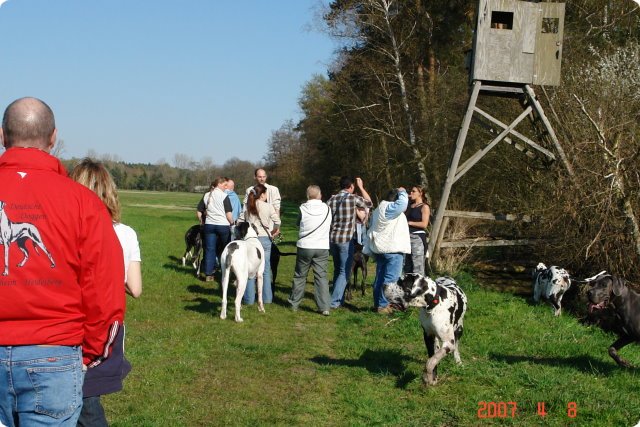 ostersonntag_-doggentreffen_028.jpg